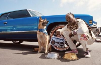 Snoop Dogg ra mắt thương hiệu thời trang thú cưng Snoop Doggie Doggs