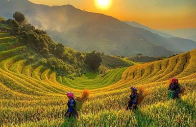 Du lịch Thanh Hoá ngày càng khẳng định vị thế mới