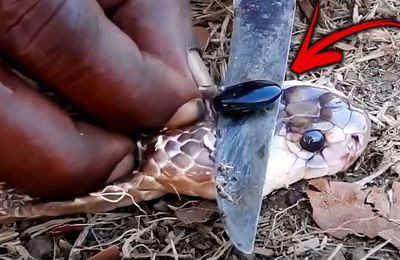 12 Viên đá hiếm và đắt nhất Thế Giới, không thể tìm thấy viên thứ 2.