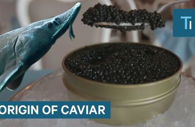 Tại sao trứng cá muối lại đắt như vậy ?