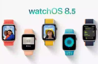 Hệ điều hành WatchOS 8.5 mới mang đến nhiều tính năng linh hoạt và tập trung vào theo dõi sức khoẻ người dùng
