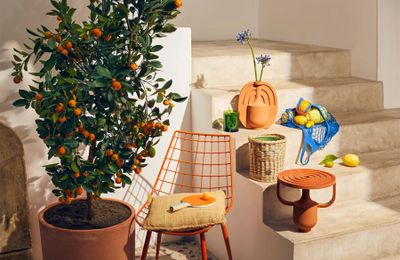 Bộ sưu tập Diptyque mới lấy cảm hứng từ vùng đất Địa Trung Hải