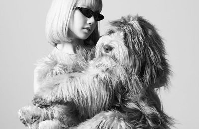 Celine ra mắt dòng phụ kiện dành cho thú cưng