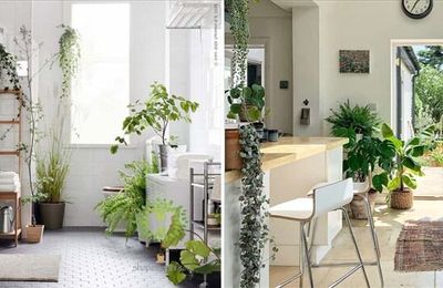Những gợi ý để biến không gian sống của bạn thêm thú vị!