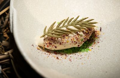 Nỗi lòng gửi quê hương thứ hai của Chef Summer Le