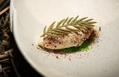 Nỗi lòng gửi quê hương thứ hai của Chef Summer Le