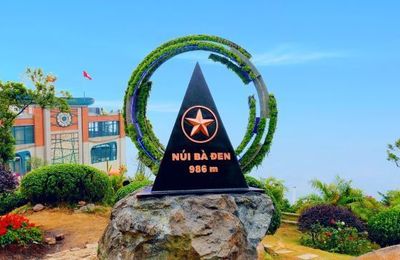 Núi Bà Đen hoá thiên đường hoa vạn người mê