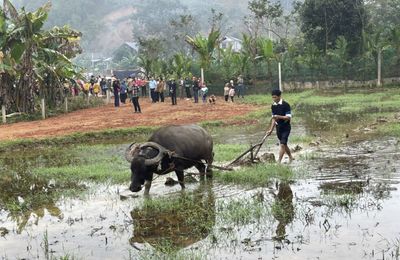 Sôi nổi lễ hội Lồng tồng ở Tân Hợp