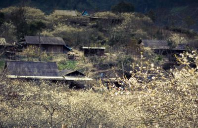 Miền Tây Nghệ An - Hãy đến và cảm nhận
