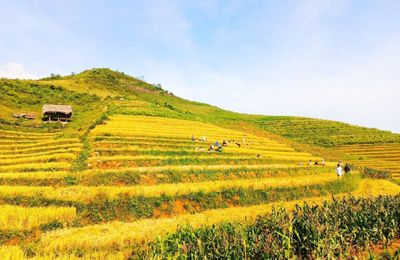Du lịch Văn Yên hứa hẹn là điểm đến “an toàn, hấp dẫn, ấn tượng”