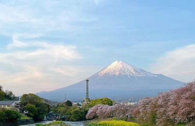 Khám phá đất nước của những bộ anime kinh điển với tour Nhật Bản 6N5Đ