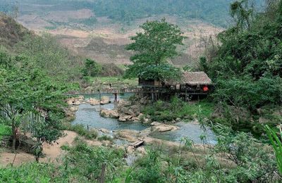 Du lịch Mộc Châu: Thời điểm lý tưởng nhất với mùa hoa nở “trắng trời”