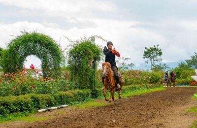 Trình diễn phi ngựa vượt chướng ngại vật, xuyên vòng lửa ở Fansipan