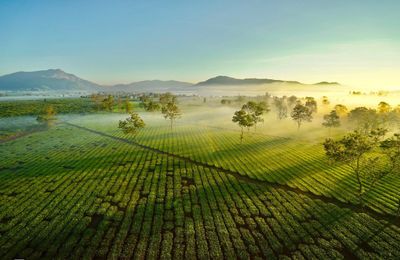 Gia Lai không chỉ có Biển Hồ