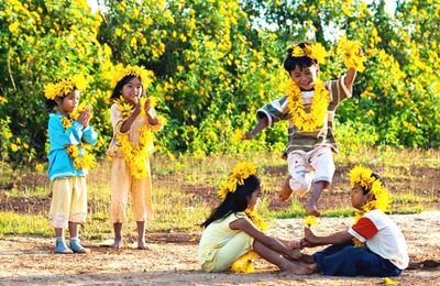 Núi lửa Chư Đăng Ya rực cháy trong sắc vàng mùa hoa dã quỳ