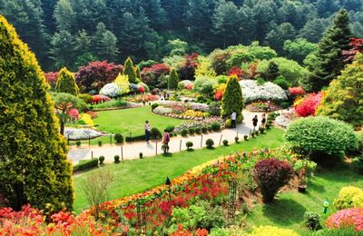 Say đắm trước cảnh sắc thiên nhiên tươi đẹp của “xứ sở kim chi” trong tour Hàn Quốc 4N4Đ