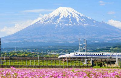 Tour du lịch Nhật Bản ngắm trọn vẻ đẹp phong cảnh Tokyo – Yamanashi