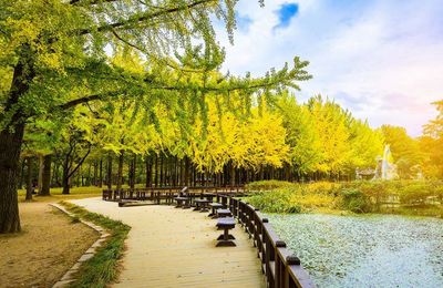 Chiêm ngưỡng thiên nhiên tươi đẹp bốn mùa trong tour du lịch Hàn Quốc