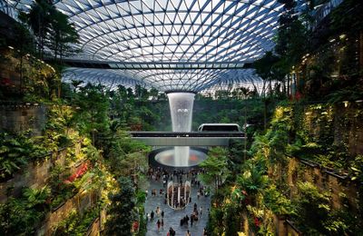 Tại sao sân bay Changi Singapore là sân bay tốt nhất thế giới? Những điều bạn cần biết
