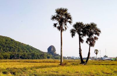 Khám phá Hà Tiên Thập Cảnh: Nơi hội tụ nét đẹp thiên nhiên và văn hóa