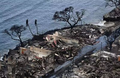 Hawaii kêu gọi du khách ngừng đến Maui