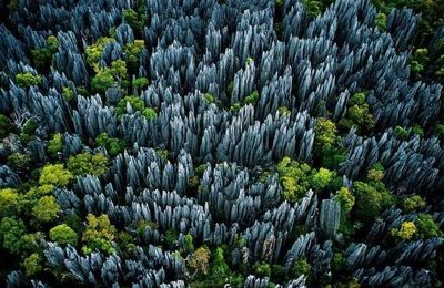Rừng đá Tsingy, nơi có địa hình hiểm trở nhất Madagascar