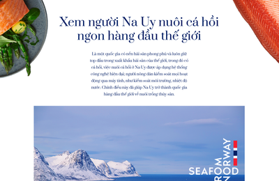 Xem người Na Uy nuôi cá hồi ngon hàng đầu thế giới