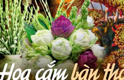 Loại hoa nào nên bày trên bàn thờ ngày Tết giúp thu hút tài lộc? Hoa cắm số chẵn hay số lẻ mới đúng?