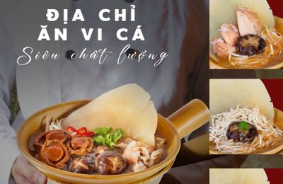 Địa chỉ ăn vi cá siêu chất lượng ở Sài Gòn