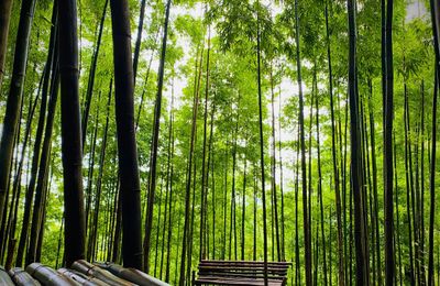 Phát hiện nơi cảnh như trong phim ở vùng núi phía Bắc, du khách nhận xét không phải ai cũng tới được