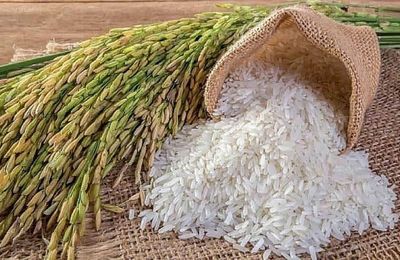 Chi gần 1 tỷ USD, Việt Nam nhập khẩu gạo để làm gì?