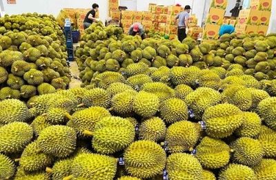 Xuất khẩu rau quả ghi nhận kỷ lục mới