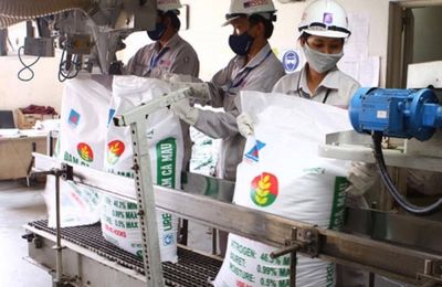 Việt Nam xuất khẩu gần 1,3 triệu tấn phân bón các loại trong 9 tháng