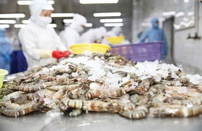 9 tháng, kim ngạch xuất khẩu tôm cao nhất trong nhóm thủy sản