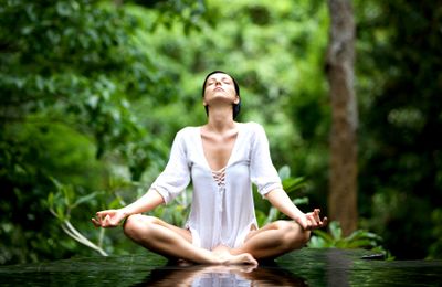 Trải nghiệm "tắm rừng" kiểu Nhật Bản