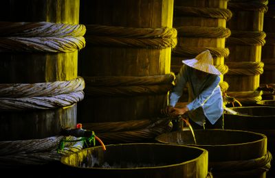 Phan Thiết: Nước Mắm, Muối và Ẩm Thực - Tinh hoa của biển, tài hoa của người
