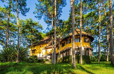 Nghỉ dưỡng giữa rừng thông Đà lạt cổ điển và thơ mộng