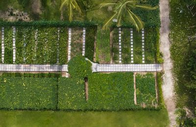 Khám phá vườn ươm hữu cơ và lớp học nấu ăn bên biển tại Danang Marriott Resort & Spa