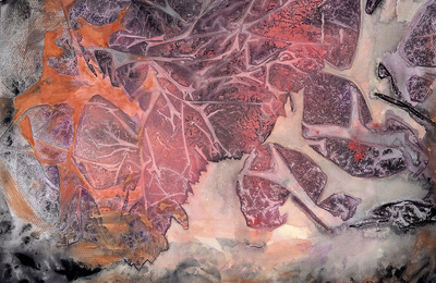 Khiêu Vũ Tới Trập Trùng - Dancing Through Dream scape - vẻ đẹp man mác thi ca
