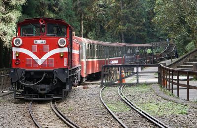Du lịch xứ Đài – Trải nghiệm tàu hỏa đỏ cổ xuyên rừng nổi tiếng ở Alishan