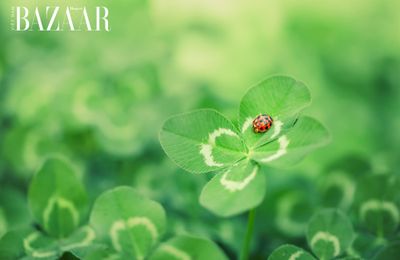10+ biểu tượng may mắn thú vị bạn nên biết