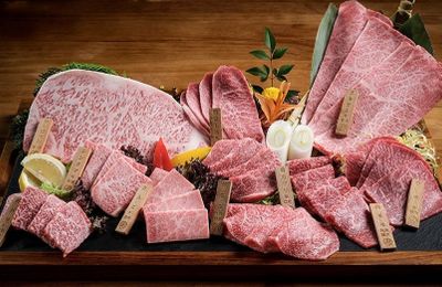 Bò Wagyu A5 Dát Vàng - Khám phá miếng bò "đắt nhất thế giới"