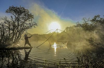 Đẹp mê mẩn rừng ngập mặn Huế mùa thay lá
