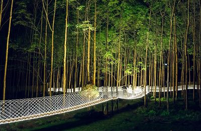 Blue Diamond Camp hoà mình vào thiên nhiên và thân thiện với môi trường