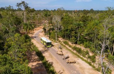Vinpearl Safari Phú Quốc lọt top đầu vườn thú và thủy cung tại Châu Á