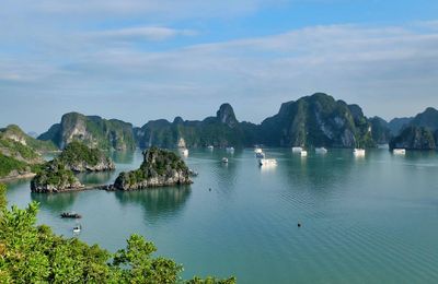 Vịnh Hạ Long - điểm đến quốc tế tiềm năng trong giới du thuyền