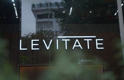 Liệu Levitate sẽ tạo nên “bình thường mới" cho khách hàng Việt khi mua nhà?