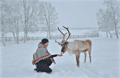 Làng tuyết trắng Kiruna - Xứ sở thần tiên của nàng công chúa băng giá