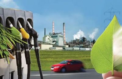 Việt Nam – Hoa Kỳ thúc đẩy hợp tác lĩnh vực nguyên liệu sinh học, ethanol