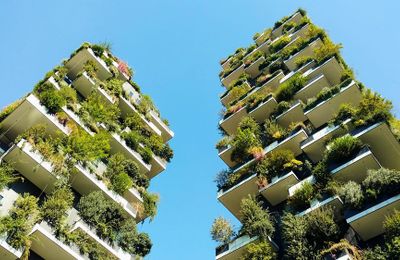 Nỗi khao khát thiên nhiên của chúng ta bộc lộ qua phong cách thiết kế ưu sinh học
